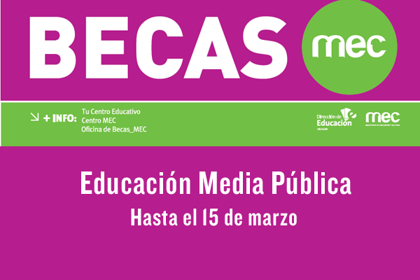 Banner con el logo del MEC e información de las becas.