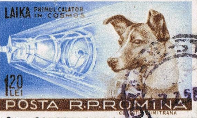 Estampilla rumana de 1959 con la imagen de Laika
