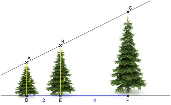 tres pinos de distinto tamaño