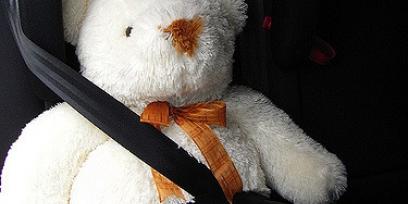 Oso de peluche sentado en un auto, con cinturón de seguridad.