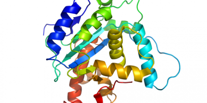 Representación de la estructura de una proteína