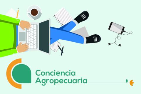 Carreras y cursos