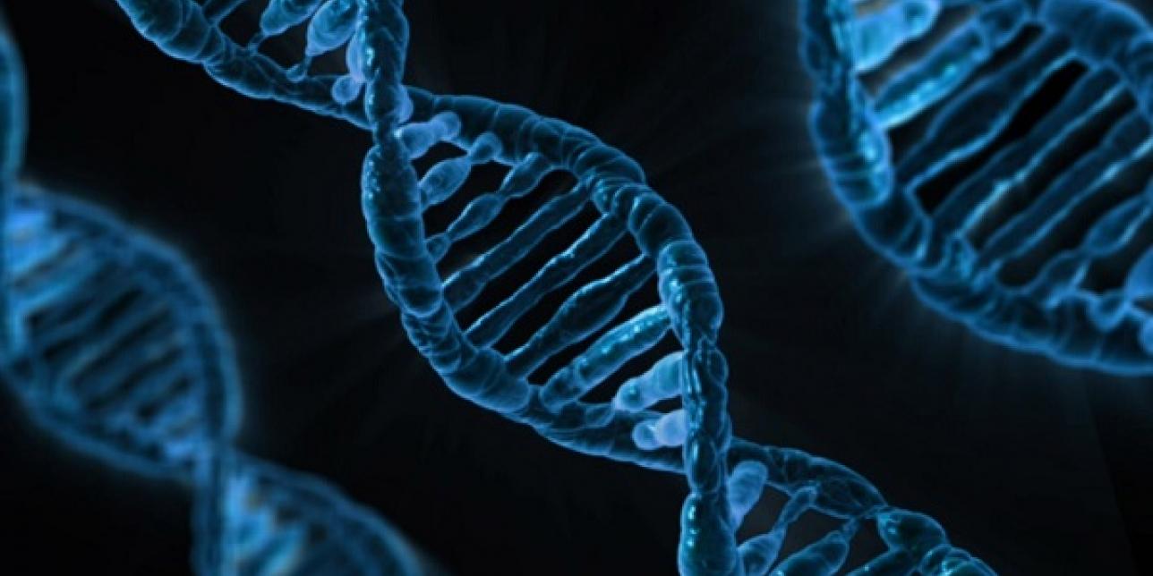 Representación cadenas de ADN