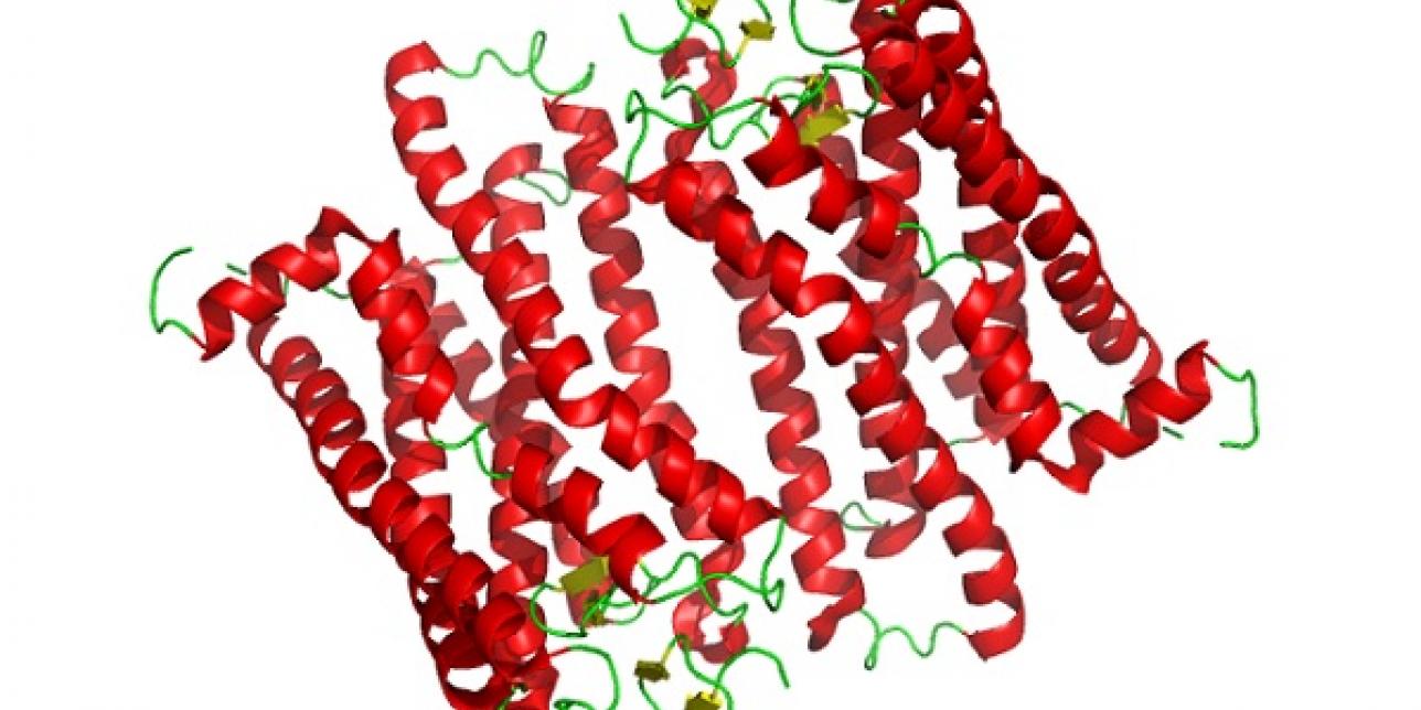 Representación estructural de la proteína rodopsina que participa en el proceso de la visión