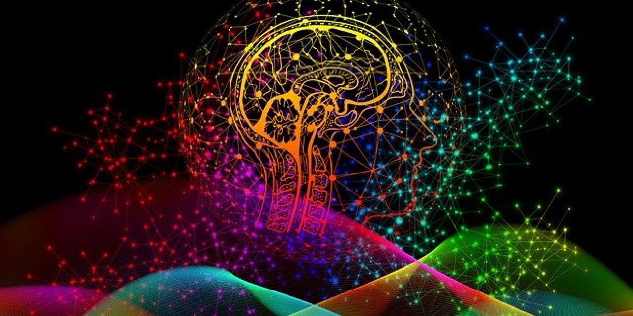 Cerebro con interconexiones
