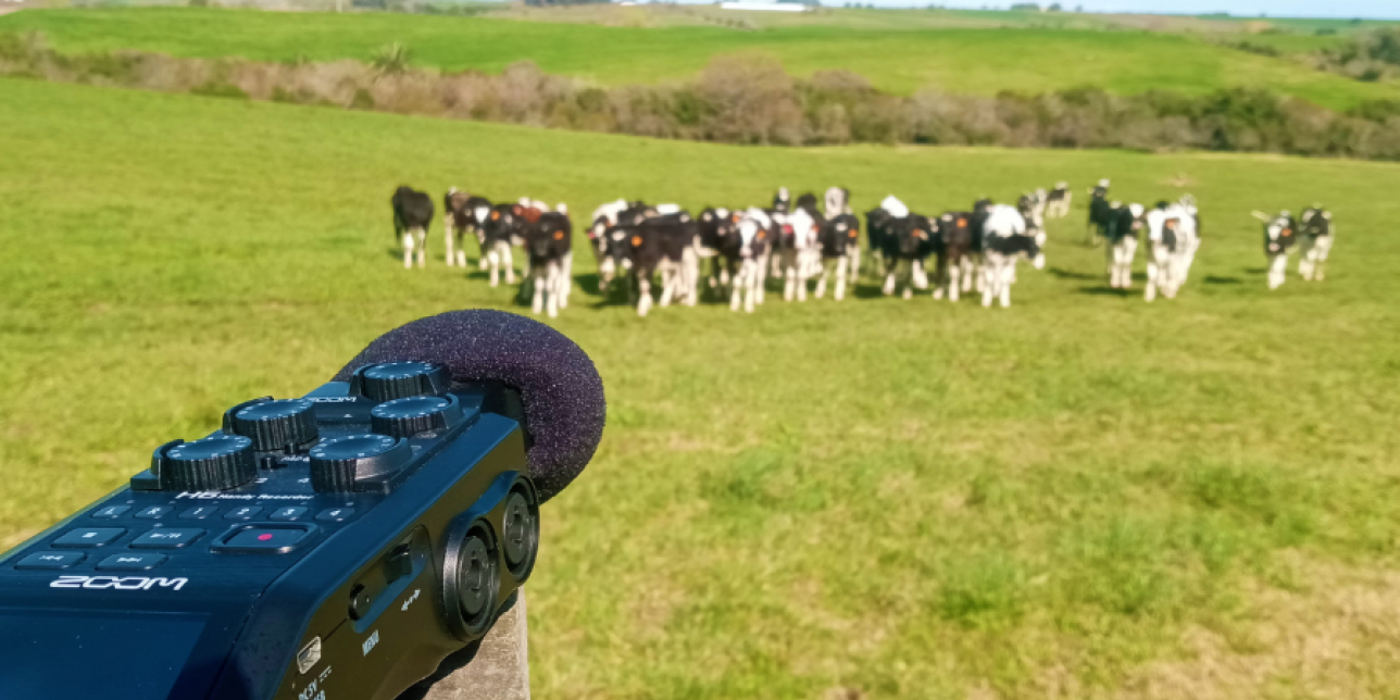 imagen que muesta un paisaje rural del Uruguay y el grabador de audio que registra sus sonidos