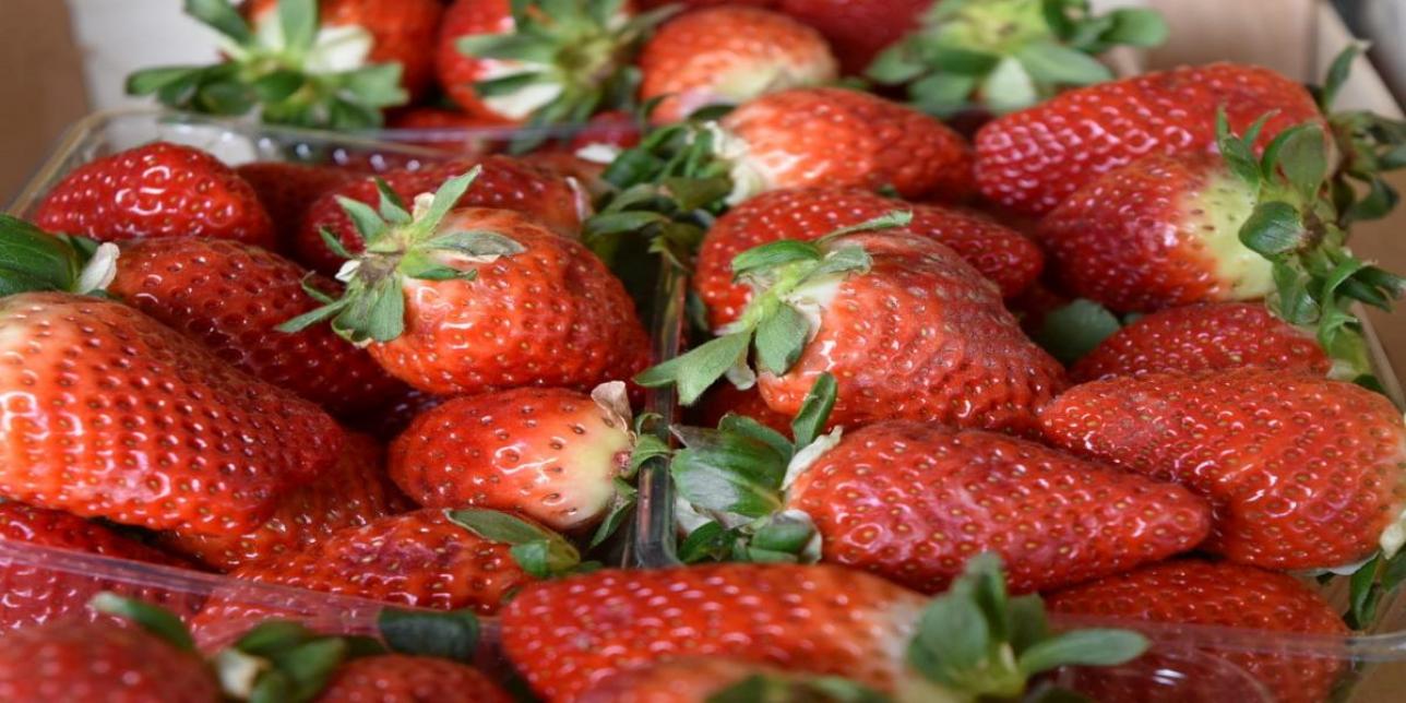https://pixnio.com/es/plantas/frutas/fresas/saludable-fruta-alimentos-berry-producir-fresa-delicioso-dulce