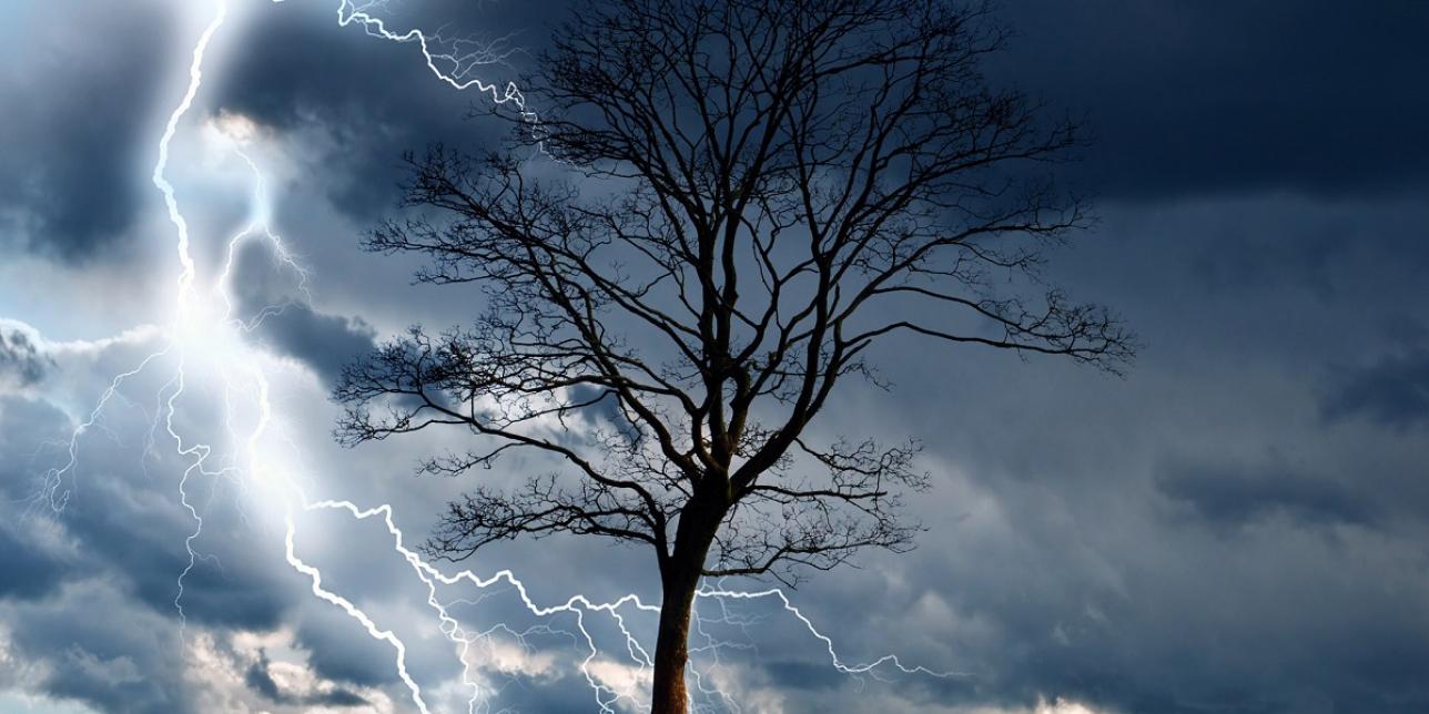 Silueta de árbol sin hojas en una llanura. De fondo, una tormenta y un rayo muy luminoso del lado izquierdo de la imagen.