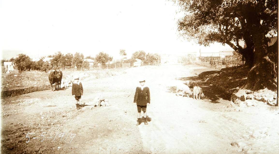 Punta Brava (Punta Carretas). Vista del barrio a principios de 1900 Punta Brava (Punta Carretas). Vista del barrio a principios de 1900