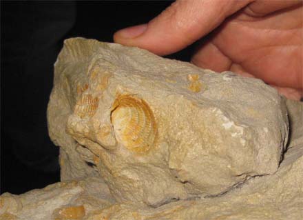capas de rocas sedimentarias