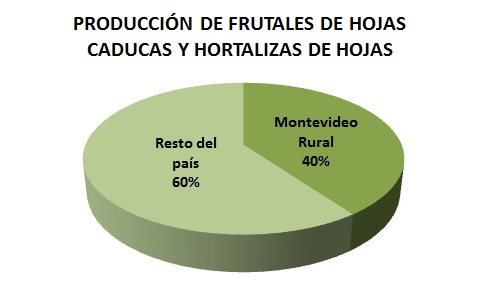 gr&aacute;fica de producci&oacute;n de frutales y hortalizas