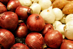 Cebolla