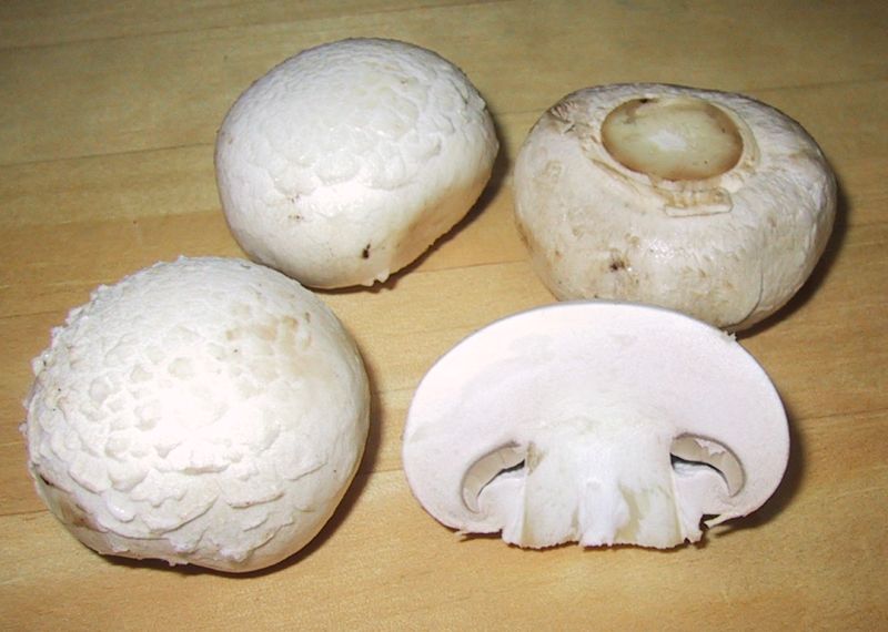 champiñones