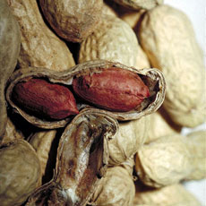 man&iacute;