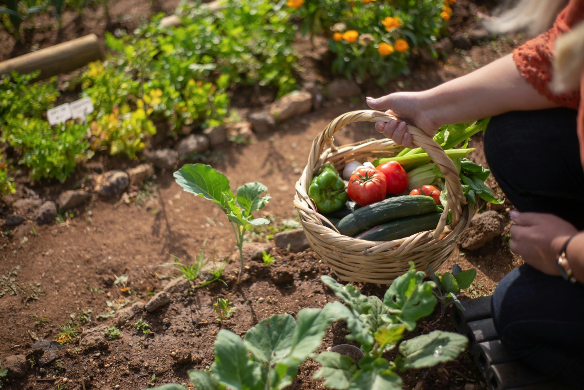 Huerta 