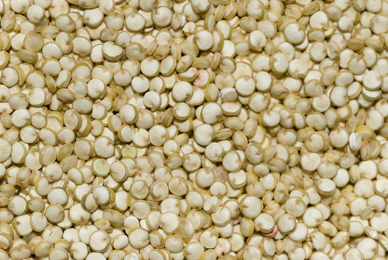 Semillas de quinua.