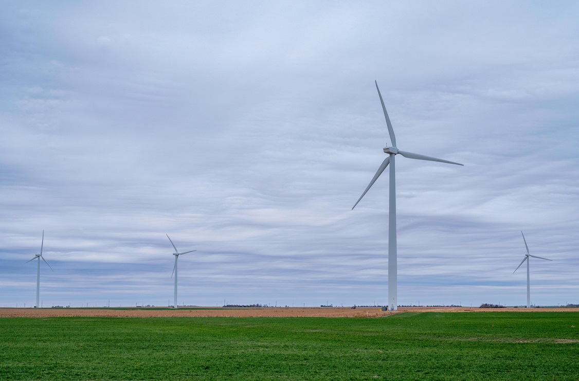 Molinos de viento