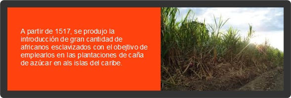 A partir de 1517, se produjo la introducci&oacute;n de gran cantidad de africanos esclavizados con el obejtivo de emplearlos en las plantaciones de ca&ntilde;a de az&uacute;car en als islas del caribe.