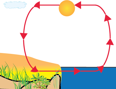 direcci&oacute;n de la corriente de aire - sube del agua