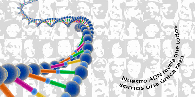 Nuestro ADN revela que todos somos una &uacute;nica raza.