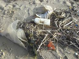 Imagen de bolsas en la playa