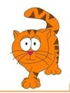 gato