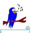 pájaro