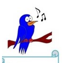 PÁJARO