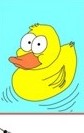pato
