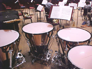 timbal