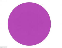 VIOLETA