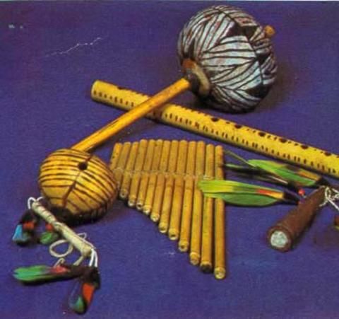 instrumentos indios brasil