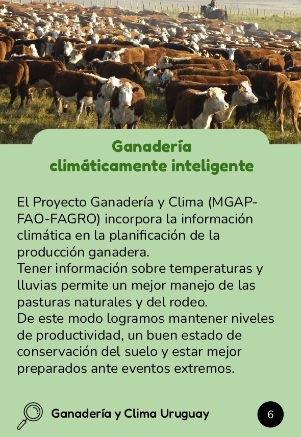 Informaicón sobre ganadería y clima