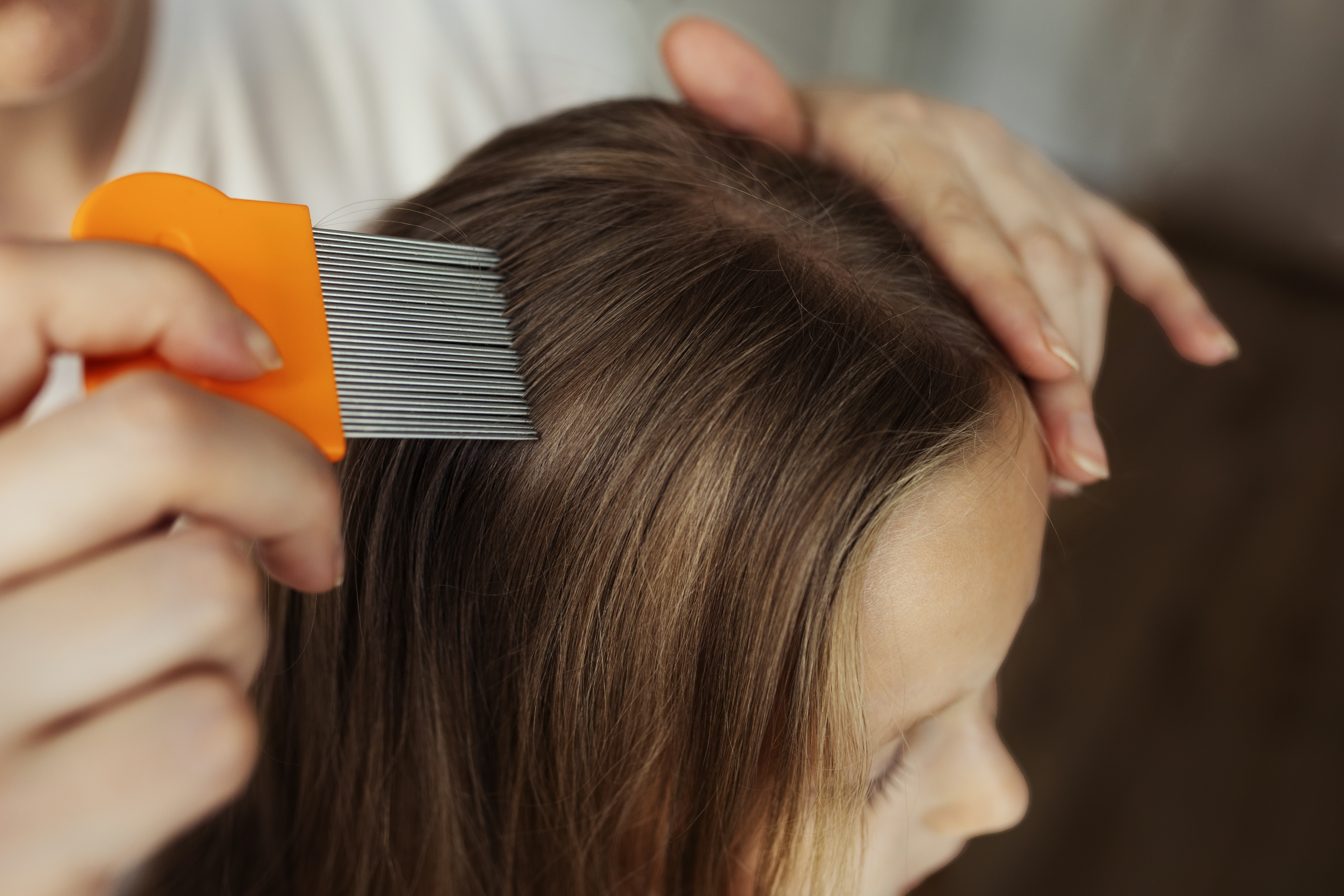 Mujer usando peine fino para quitar piojos del cabello de un niño