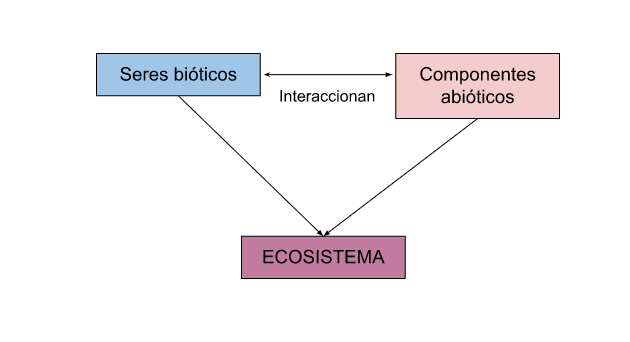 Esquema que presenta a seres bióticos y componentes abióticos interactuando en un ecosistema