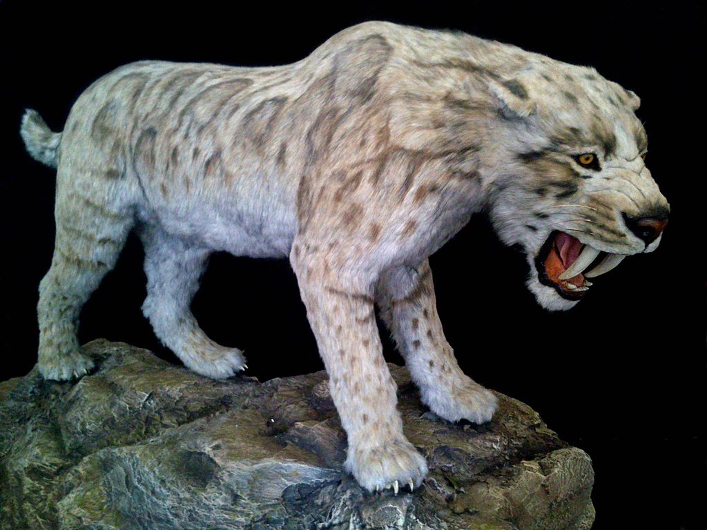 Tigre dientes de sable
