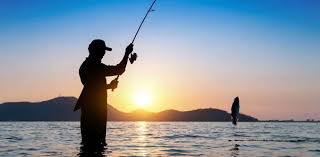 Pesca