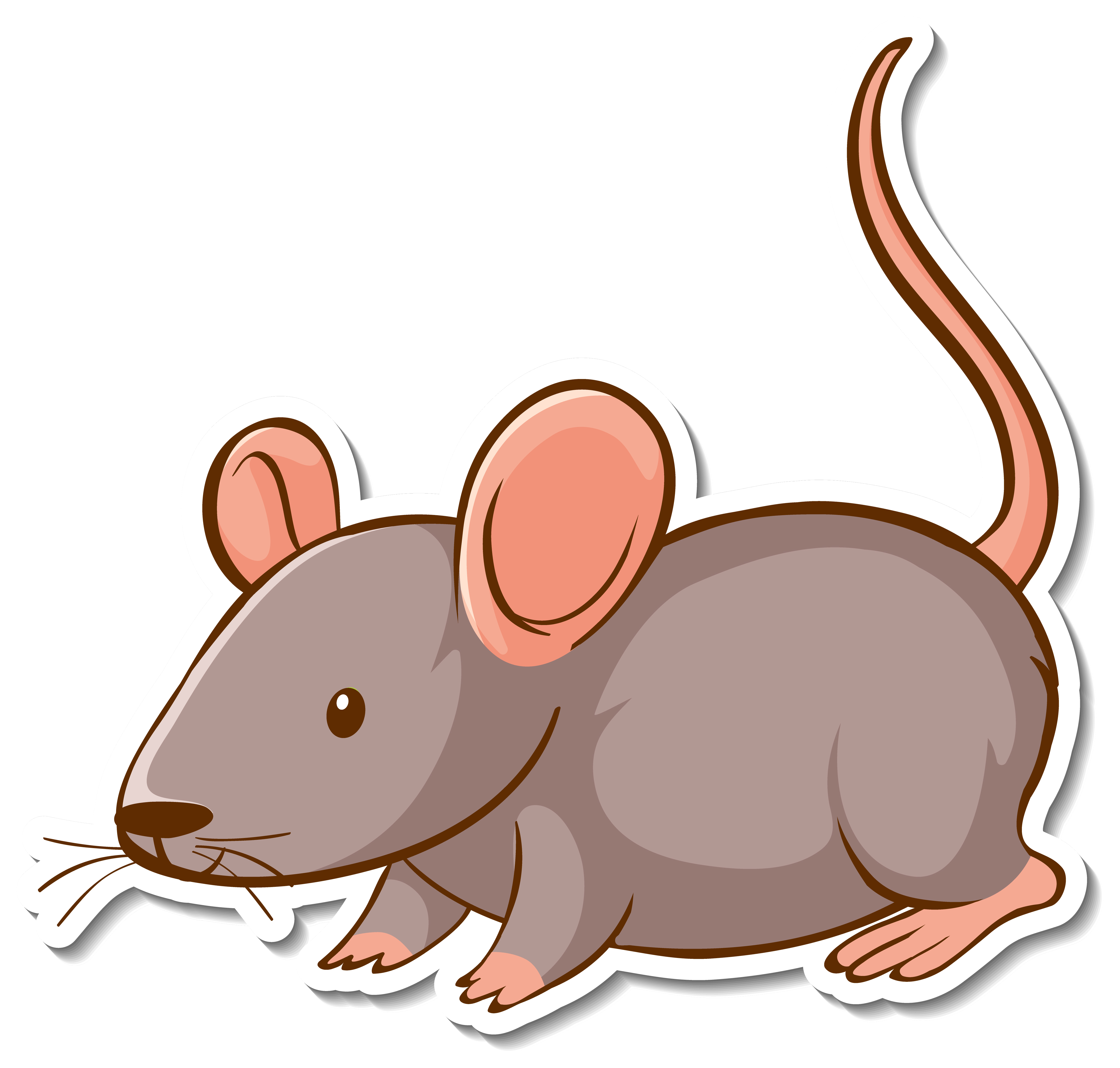 RATÓN