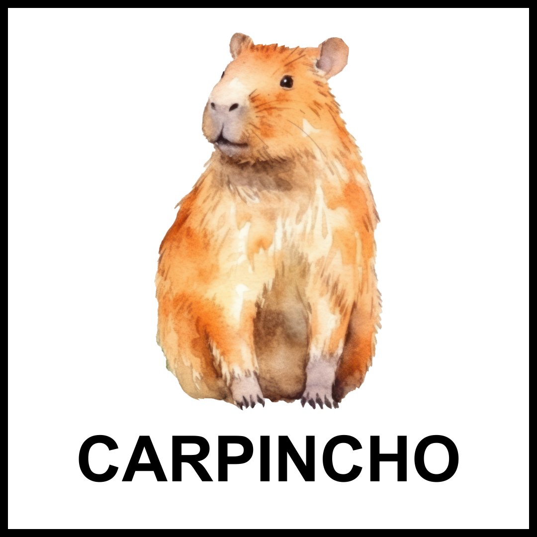 Carpincho anaranjado sentado.