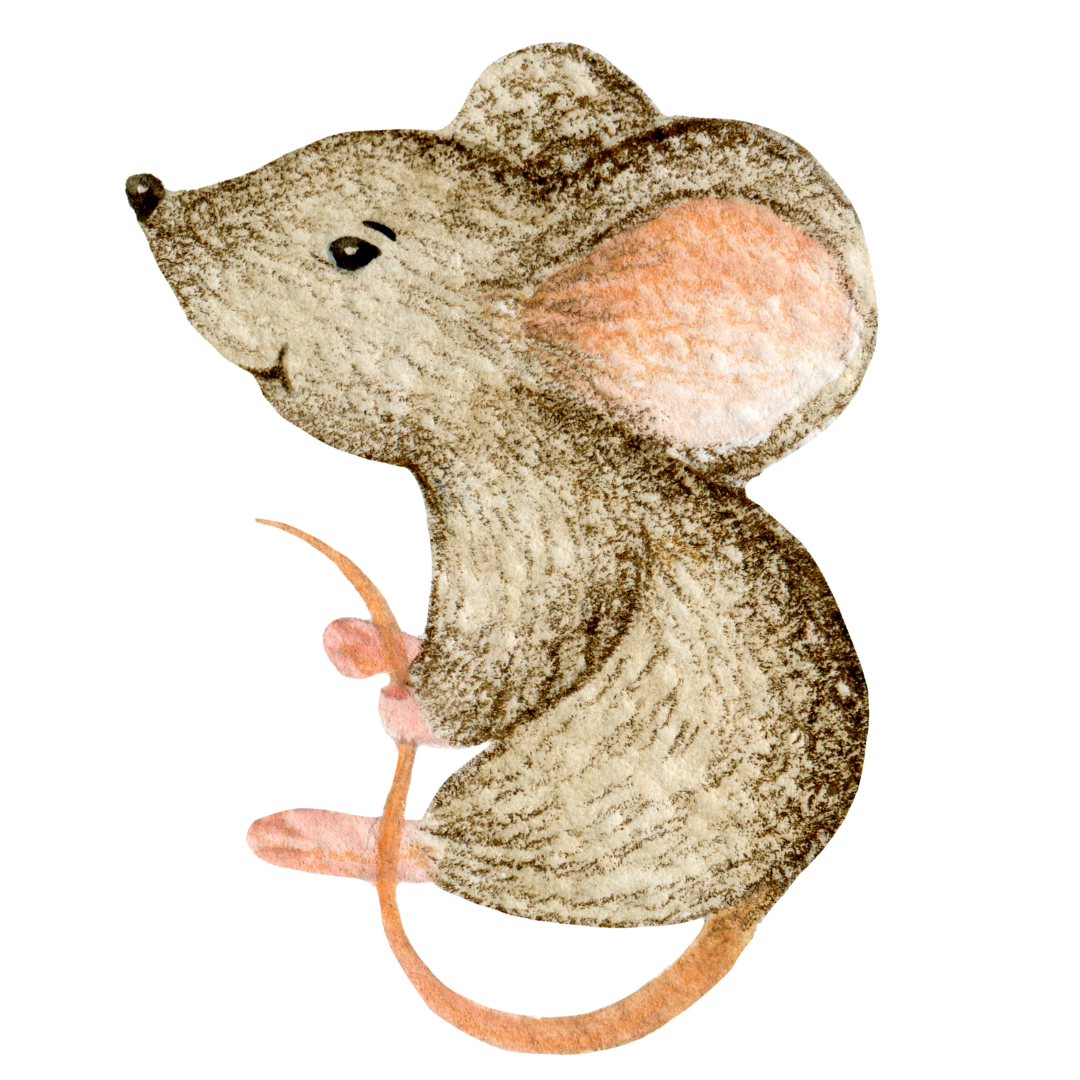Ratón gris de costado sobre fondo blanco.