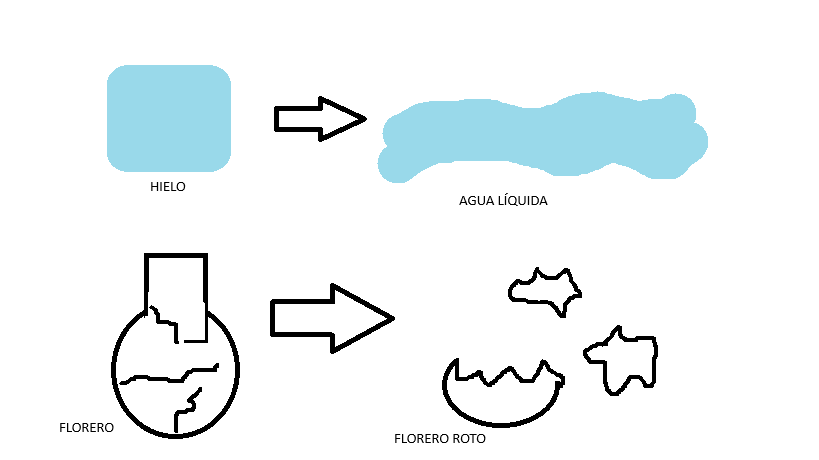 HIELO SE DERRITE Y FLORERO SE ROMPE