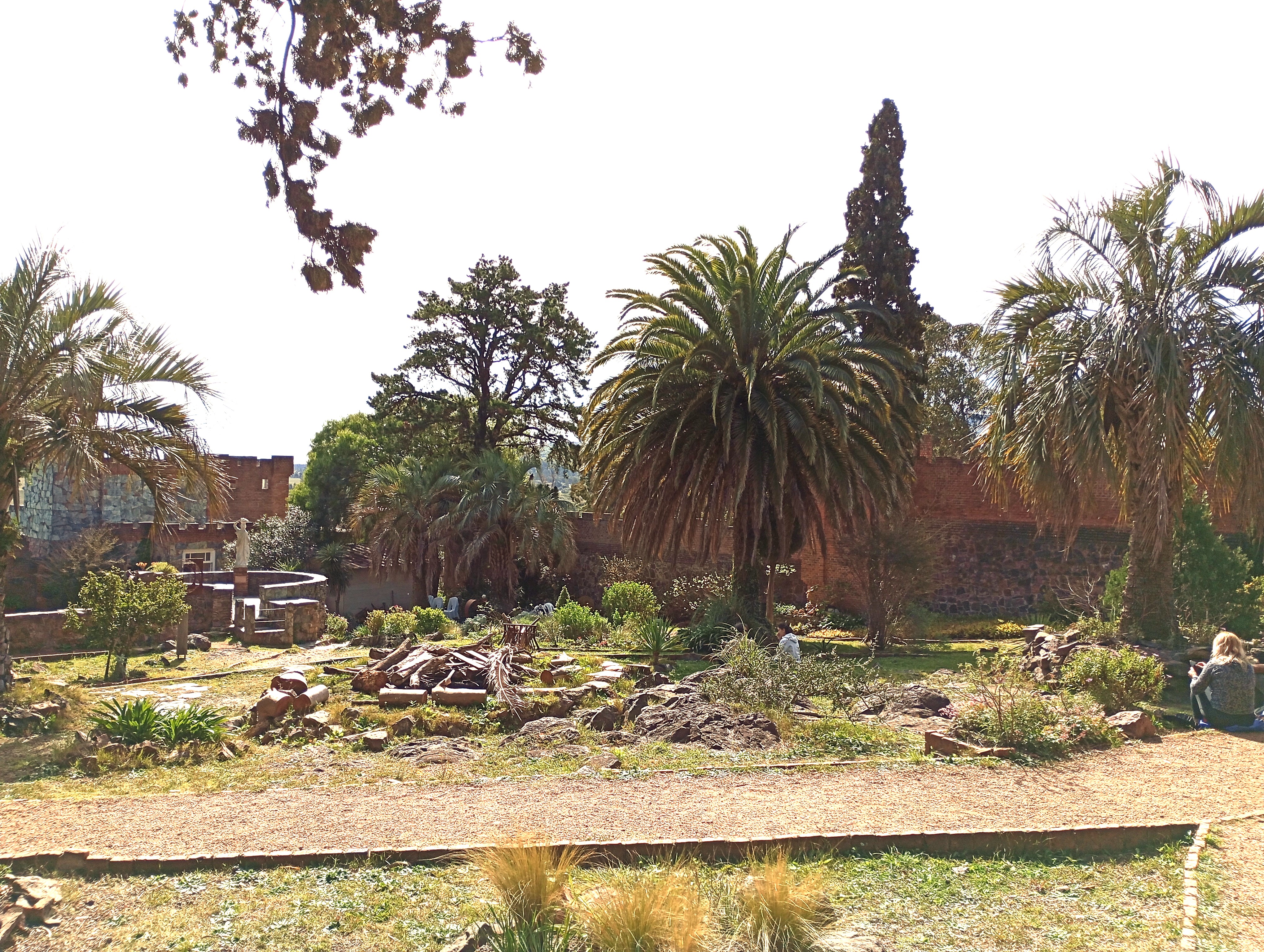 Jardín con diferentes plantas, palmeras y árboles