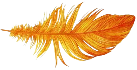 pluma dorada