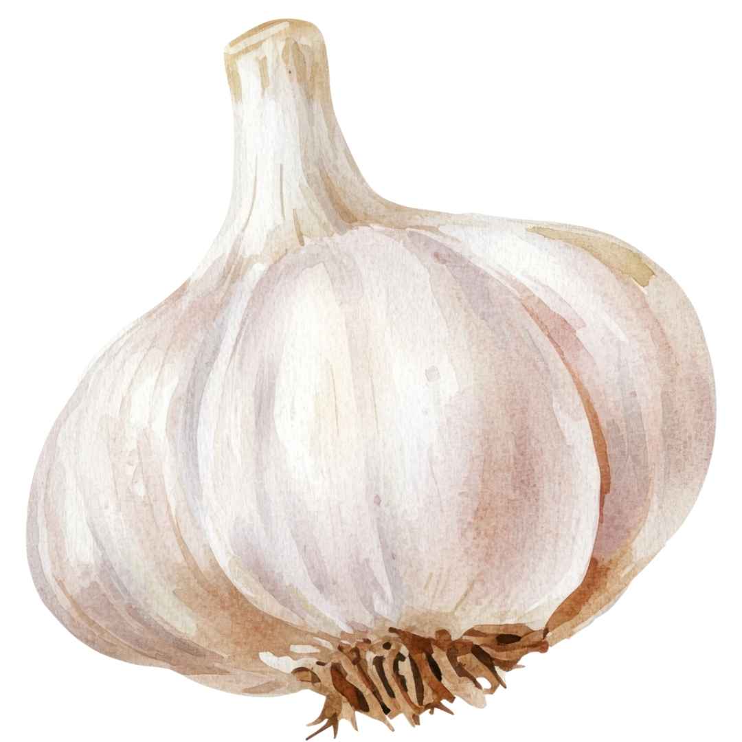 AJO