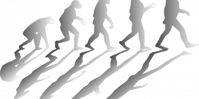 evolucion