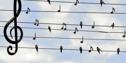 Accesibilidad musical