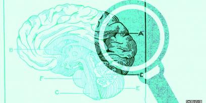 Sobre un fondo verde como marca de agua se encuentra el dibujo de un cerebro, a la derecha de este una lupa aumenta una esquina del cerebro atenuándose el color.