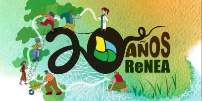 20 años de la RENEA