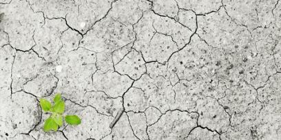 Cambio climático, un tema para pensar