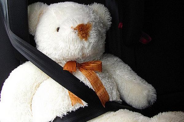 Oso de peluche sentado en un auto, con cinturón de seguridad.